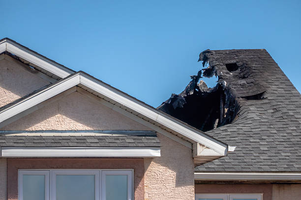 Top rated local Odor Removal specialists in Abingdon, VA